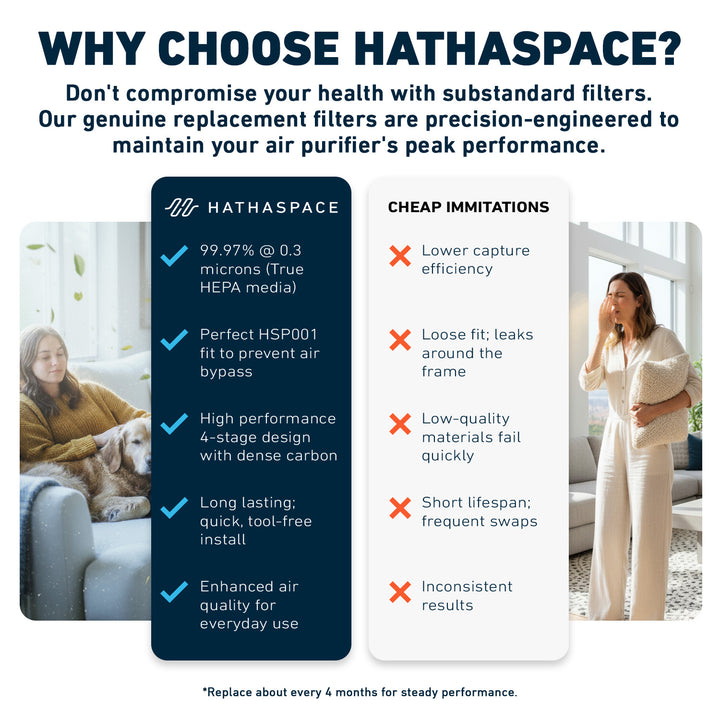 HSP002 Replacement Filter (H13 True HEPA)