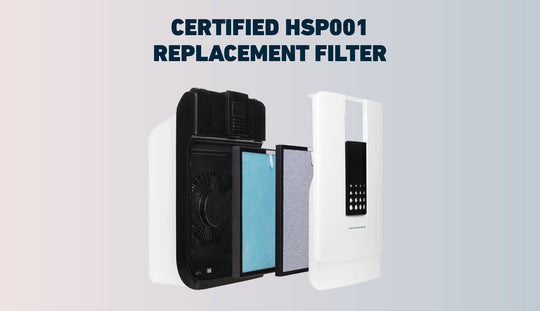 HSP001 Replacement Filter (H13 True HEPA)