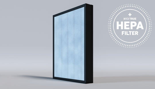 HSP002 Replacement Filter (H13 True HEPA)